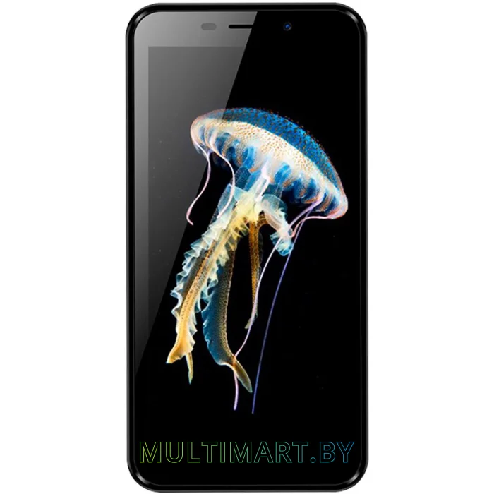 Смартфон TeXet TM-5081 (черный)